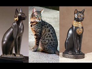 Ancient Egyptian cats