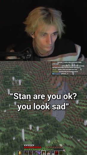 stan | "stan are you ok?" #minecraft | Instagram