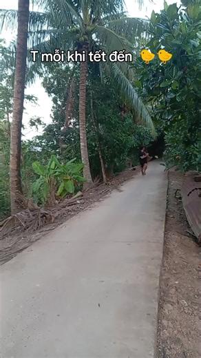 Xu Hướng Mới Đầu Năm: TikTok Tết 2023