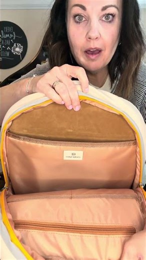 Best Laptop Backpack for Work & Travel? Lumos 20L Review