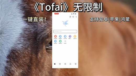 【猛龙宝库】Tofai安卓手机安装完整流程