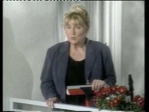 Vileda Profi Fensterwischer