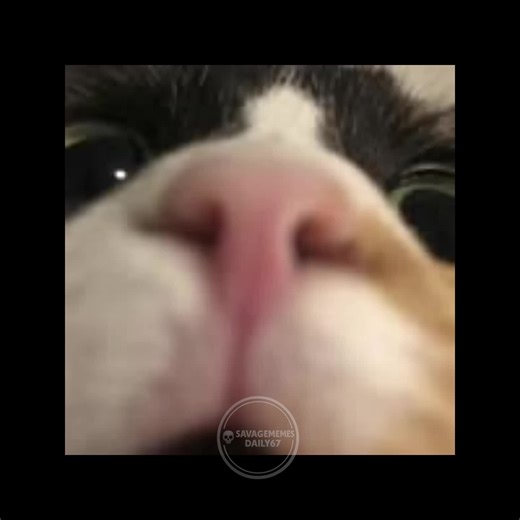 SavageMemesDaily on Instagram: "This clip from America’s Next Top Model is a classic example of reality TV cruelty. The contestant, Xiomara, walks the runway with a wide-eyed, intense expression. The judges, specifically Nigel Barker and Miss J. Alexander, do not hold back. Miss J.’s critique, "Girl, you walk like you are on crack," is a devastatingly blunt assessment that became an iconic quote in the show's history. It highlights the show's often problematic approach to constructive criticism,