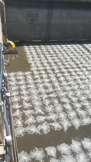 Fine Bubble Diffuser Micro Bubble Aeration 1-Year EPDM PP Material 2-8m/h Flow Rate Air Tube for Water Membrane Core