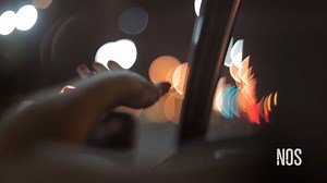 REEL NOS - Contenidos