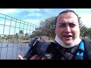 video test Sony a700