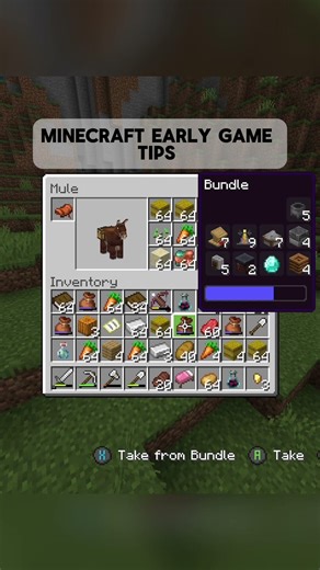 Minecraft early game #minecraft #tips