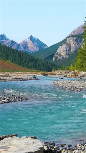 Exploring Arizona's Araucarioxylon Fossil