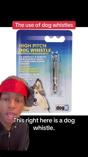 Best part about dog whistles is the easy denial #fyp #tiktok #storytime #greenscreen