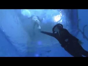 Scuba Girl Drowns Bikini Girl