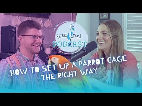 How to Set Up a Parrot Cage - The Right Way | S04 E02 | Parrot Stars Podcast