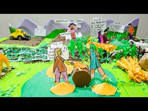 Agricultural Model For School Project | Cultivation Of Crops | Step By Step |
