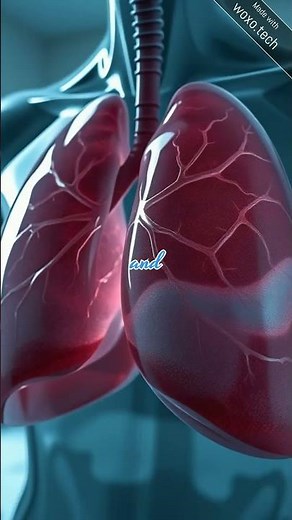 Pleural Effusion Explained in 60 Seconds | HealVerse3D