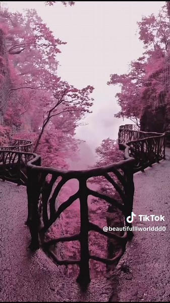 Discover the Beauty of China Through Travel