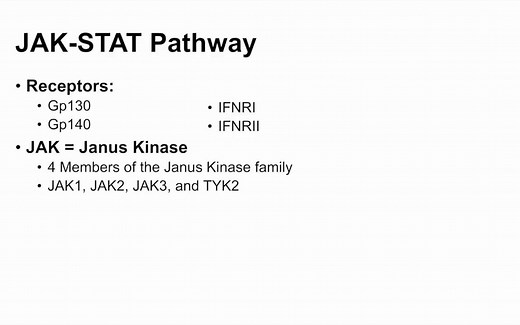 JAK-STAT信号通路及相关疾病详细介绍