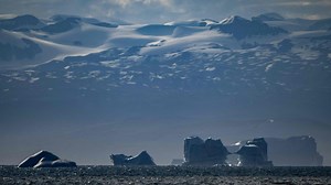 Greenland women seek compensation over involuntary IUDs from Denmark