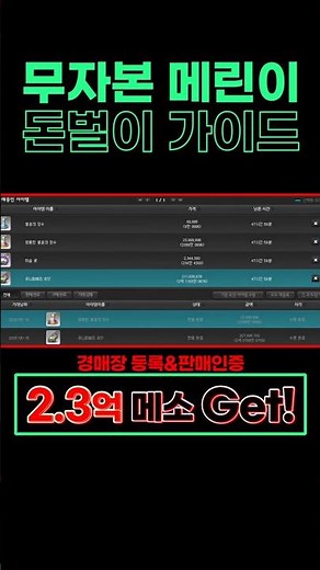 무자본 메린이 돈벌이 가이드라인! 마조람&쥬니퍼베리 채집 노가다[메이플/무자본메소벌이]