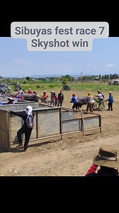 Bongabon Sibuyas festival karera ng kalabaw 2024 race 7, skyshot win | Buhay Karera JRTV
