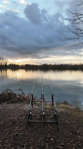 The Joy of Fishing: Tony's Carp Adventures