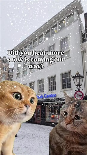 We’re closing at 17.00 in Amsterdam today. Snow says “go home” and we listen But shopping doesn’t stop! 💻📚 Shop online with 10% OFF Just use code snow , only today! Booklover Card holder? Lucky you get 20% OFF . . . . #sneeuwpret #theamericanbookcenter #bookstorelove #bookishmeme