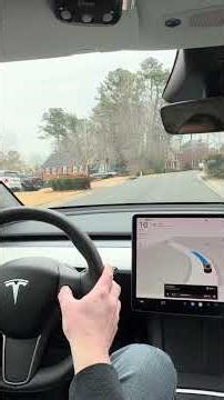 Soft Reset Of Tesla While On FSD #tesla #teslafsd #teslamodely