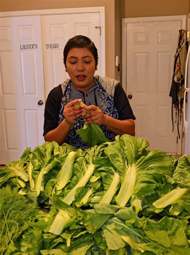 रायो साग फ्रोजन गर्ने तरिका — Organic Gardening in USA
