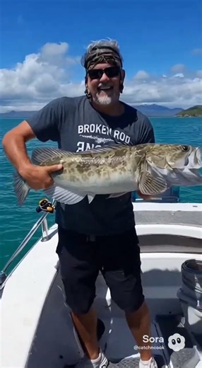 Lingcod live crab bait bottom attack extreme Prince Rupert cod fish fishing British Columbia CANADA