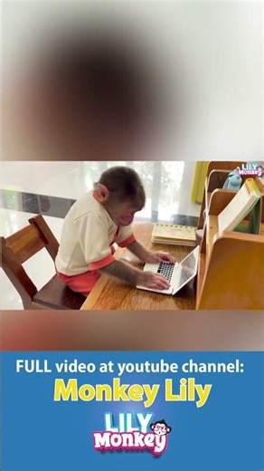 Monkey Typing on Laptop, Hilarious OMG Moment! #monkey #shorts #short