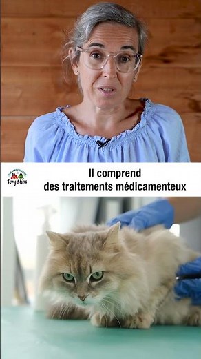 Arthrose chez nos chiens et chats - Episode 3