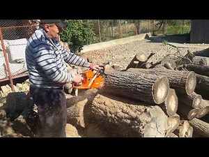 Chainsaws ECHO cs 450 și STIHL ms 231 Cutting winter wood.