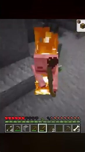 在我的世界中，擁有自己的生物工廠！每次一合成，就會生成一只新奇怪的生物！ #我的世界 #Minecraft #游戏 #游戏解说 #生存