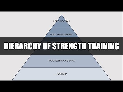 Hierarchy of Strength Training | Training for Maximal Strength
