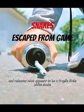 A greedy snake suddeny breaks into the real world || Movie clips