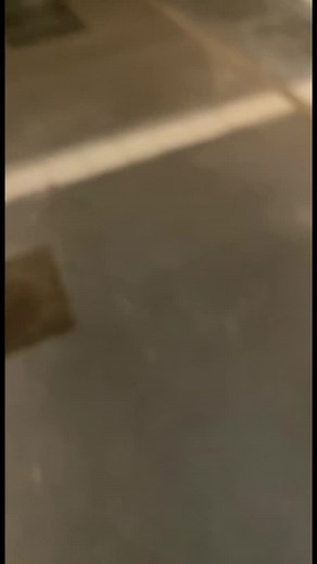 Prout :) #prout #pet #fart