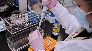 Immunopeptidomics: Isolation of Mouse and Human MHC Class I- and II-Associated Peptides for Mass Spectrometry Analysis