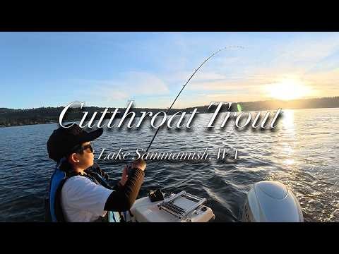 Chasing Spring Cutthroat Trout in Washington State 5/17/2026
