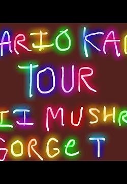 Mario Kart Tour- Wii Mushroom Gorge T (QuickPlay)