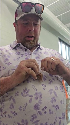 Steve & the Insects #ronpratt #midwesttruck #funny