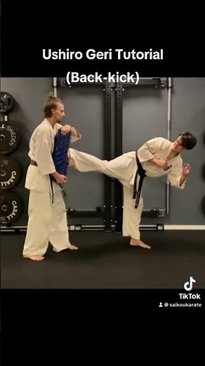 Ushiro Geri (Back-kick) Tutorial 🦵🏼 #martialarts #karate #fyp #mma #viral