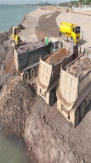 Land Reclamation Project: Heavy Equipment in Action