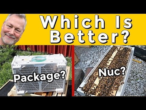 Beekeeping | Which Is Best: 5 Frame Nuc or 3 lb Package?