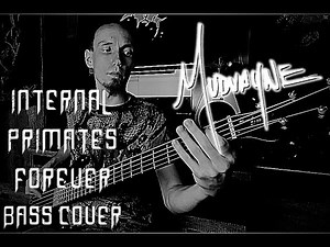 Mudvayne - Internal Primates Forever (bass cover)