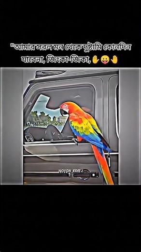 Jhinka Chika Jhinka Chika 🐸🌚 #viral #song #memes #funny #shorts