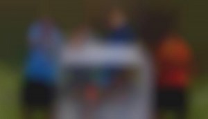 Modular Dart Defense Systems