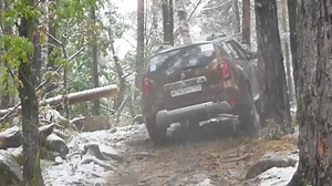 139K views · 1.5K reactions | Duster face fata si in conditii mai...