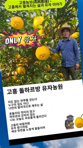 고흥에서 펼쳐지는 삶과 유자 이야기 #고흥 #유자 #삶 #인생2막 #새옹지마