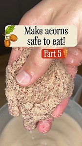 407K views · 6.6K reactions | This trick makes acorns edible and...