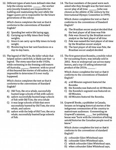 Different types of ants have defined roles that help the colony... | Filo