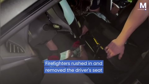 Pet python trapped in car dashboard sparks firefighter rescue in Florida