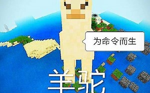 【function制作】《我的世界》function一直做不好?来试试这个软件